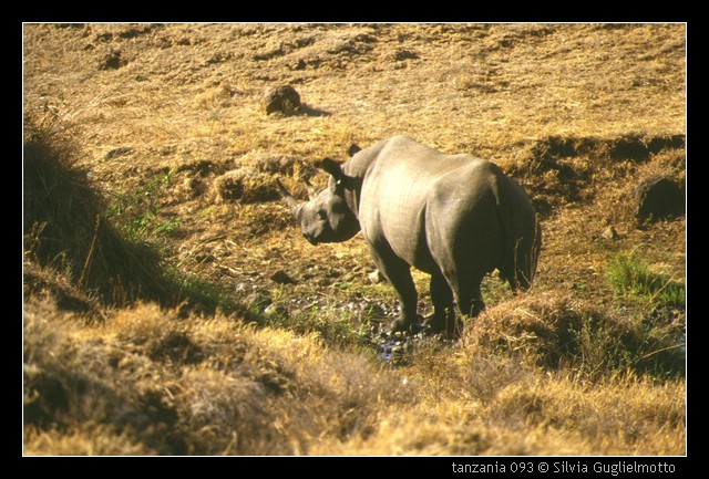 tanzania 093.jpg