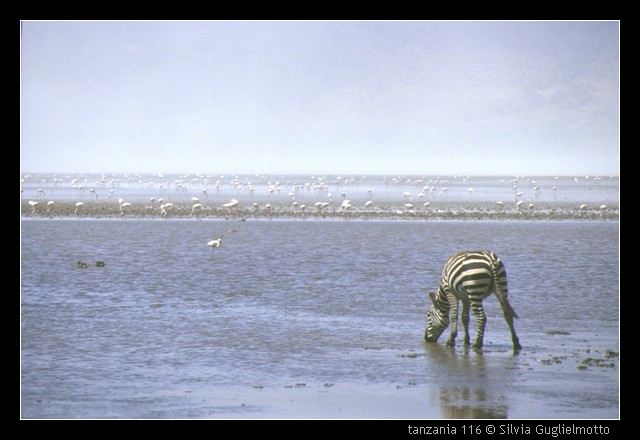 tanzania 116.jpg