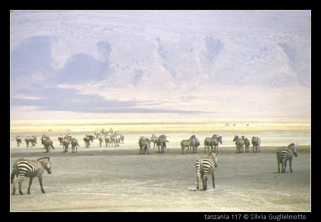 tanzania 117.jpg