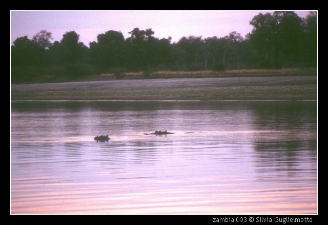 zambia 003.jpg
