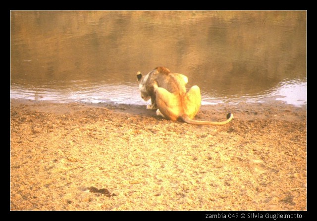 zambia 049.jpg
