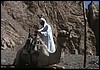 dahab 066.jpg