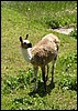 dolomiti 011.jpg