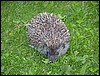 dolomiti 016.JPG