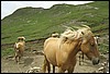 dolomiti 044.jpg