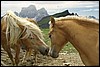 dolomiti 045.jpg