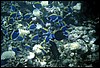 maldive 061.jpg