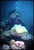 maldive 066.jpg
