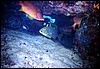maldive 096.jpg