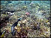 marsa alam 001.jpg