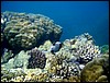 marsa alam 004.jpg