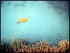 marsa alam 008.jpg