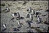 patagonia 018.jpg