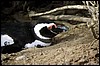 patagonia 028.jpg