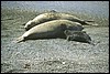 patagonia 067.jpg