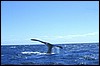 patagonia 088.jpg