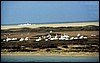 senegal 065.jpg