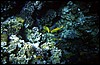 sharm el sheik 049.jpg