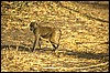 tanzania 025.jpg