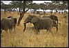 tanzania 038.jpg