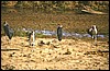 tanzania 044.jpg