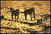tanzania 046.jpg