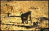 tanzania 047.jpg