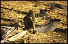 tanzania 048.jpg