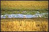 tanzania 053.jpg