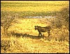 tanzania 059.jpg