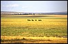 tanzania 060.jpg