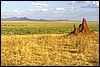tanzania 061.jpg