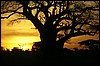 tanzania 064.jpg