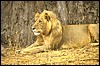 tanzania 073.jpg