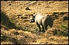 tanzania 093.jpg