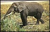 tanzania 104.jpg