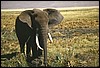tanzania 106.jpg