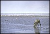 tanzania 116.jpg