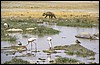 tanzania 124.jpg