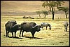 tanzania 128.jpg