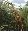 tanzania 149.jpg