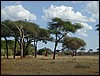 tanzania tarangire 360.jpg