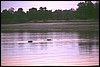 zambia 003.jpg