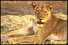 zambia 057.jpg