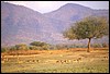 zambia 163.jpg