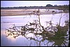 zambia 166.jpg
