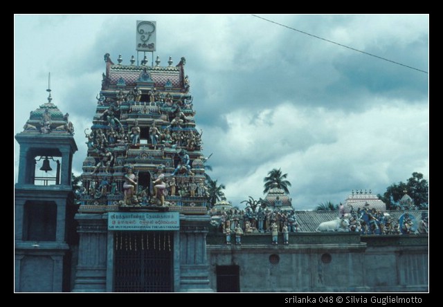 srilanka 048.jpg