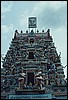 srilanka 047.jpg