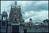 srilanka 048.jpg