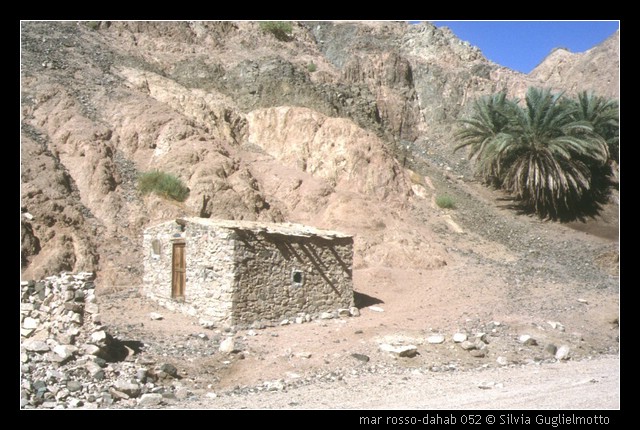 mar rosso-dahab 052.jpg